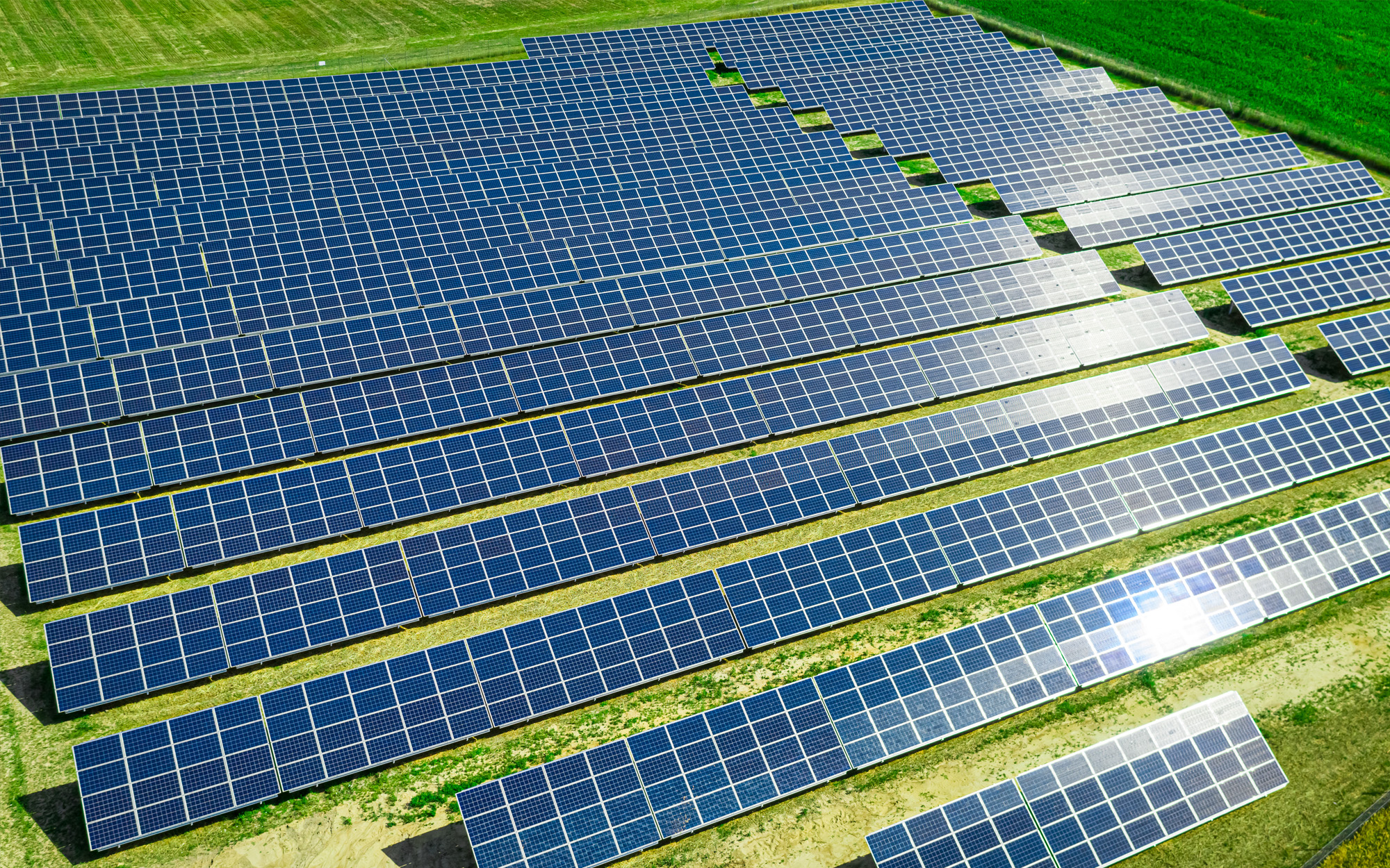 Understanding the Cost of Ground-Mounted Solar Panel Systems