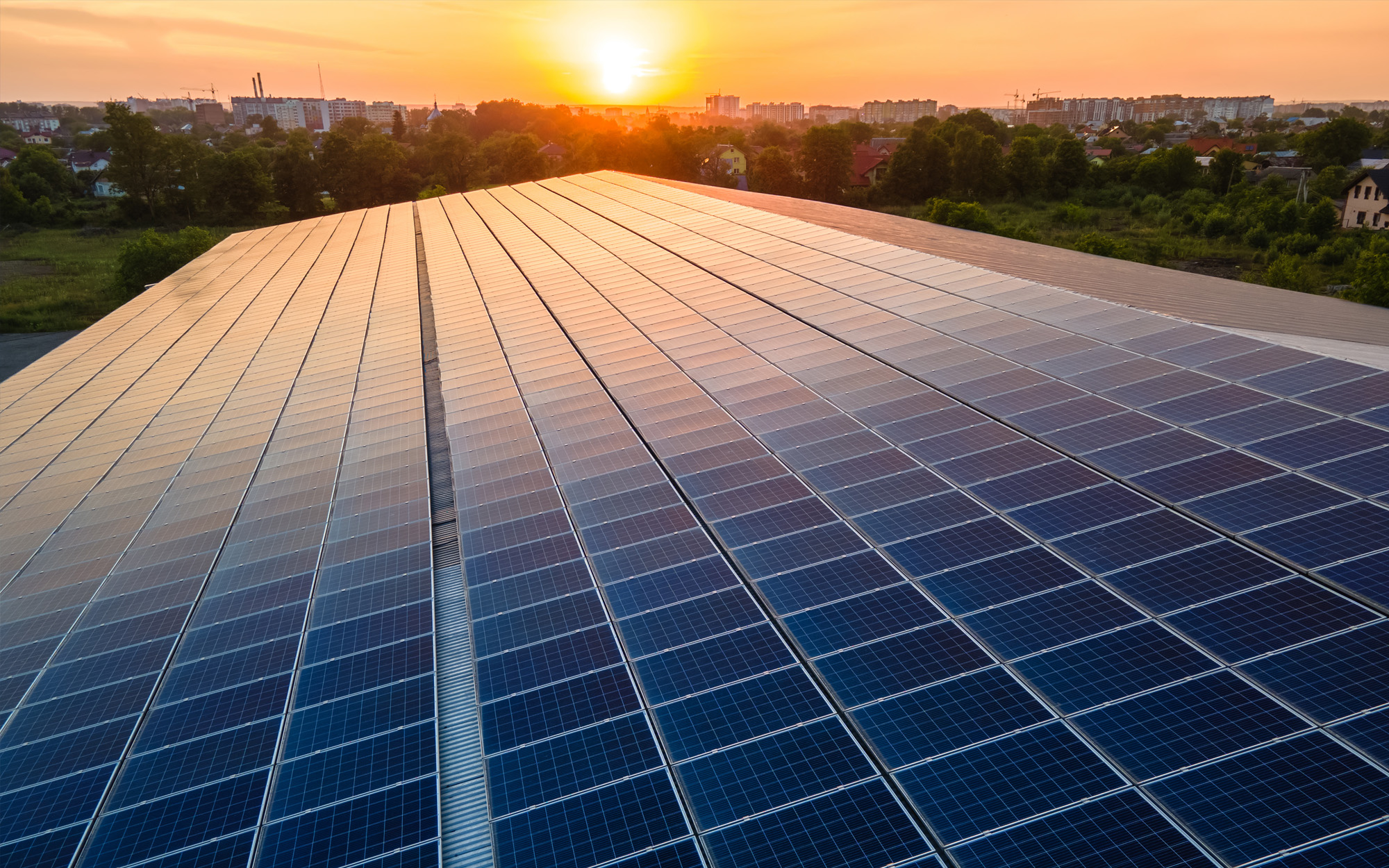 How Commercial Solar Panels Can Save You Money