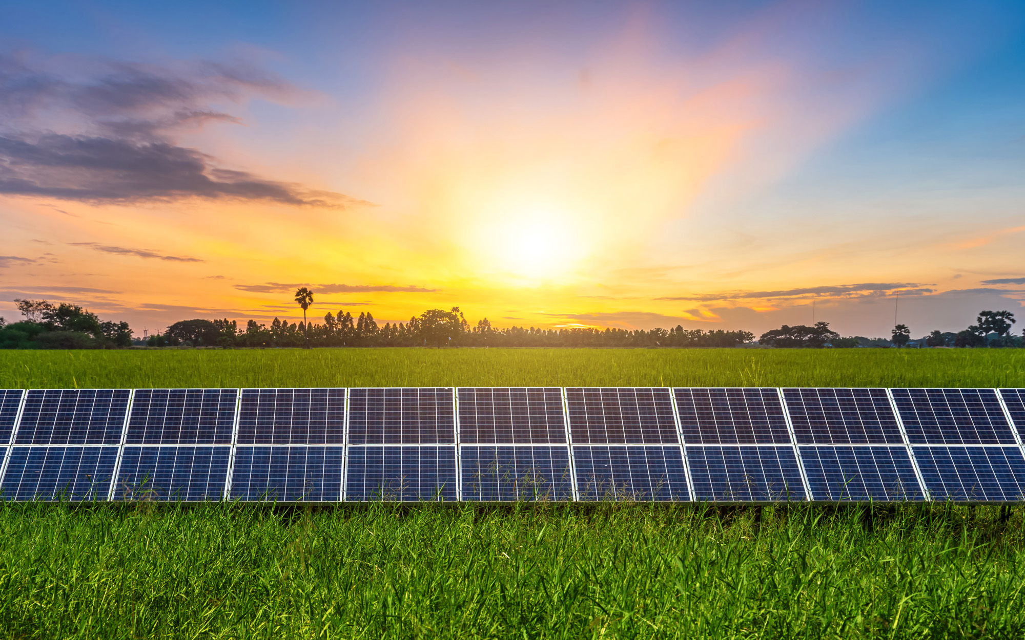 Solar Panel Considerations 101: What You Need to Know Before Switching to Renewable Energy